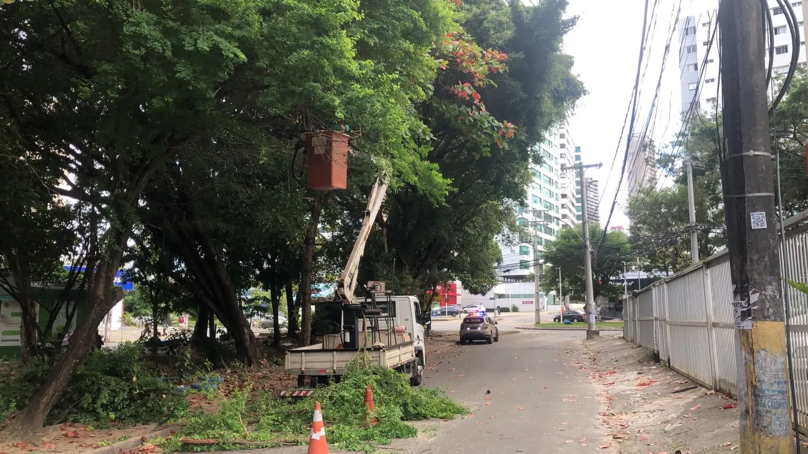 Manutenção e Conservação de Áreas Verdes — imagem 1